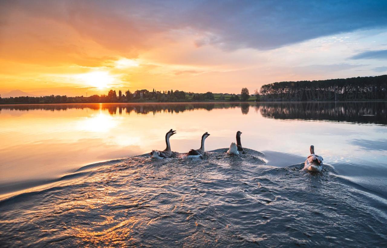 Le Ali Del Frassino Peschiera del Garda Exterior foto